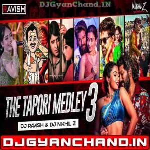 Dosa Idli vs Anna Na Na Pathiya Ranu Bambai Ki Ranu Ennathu Appa Kanuma Tapori Medley 3 - DJ Ravish x DJ Nikhil Z Dosa Idli vs Anna Na Na Pathiya Ranu Bambai Ki Ranu Ennathu Appa Kanuma Tapori Medley 3 - DJ Ravish x DJ Nikhil Z